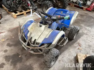 Børne Atv Wuyi wusheng Electric Wvatv