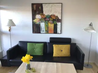 3 personers Skalma design læder sofa