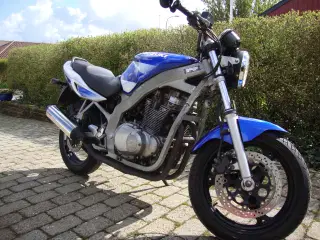 Suzuki gs 500 H