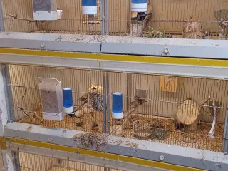 Stopper med at have fugle