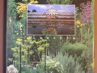 botanisk have - en oase i storbyen, af ghita nørby