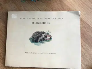 Ib Andersen  -  En introduktion