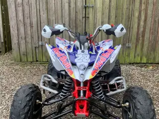 Yamaha raptor 250