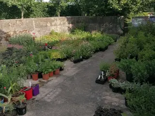 Planter