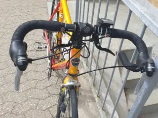 Fin racer trek
