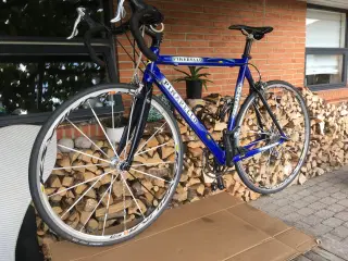Racer cykel Pinarello Prince
