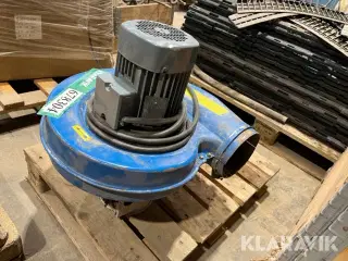 Blæser Kongskilde