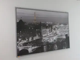 Plakater