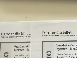 Værd at vide om mænd og kvinders hjerner