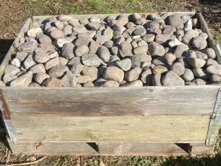 0,6 M/3 Søsten på paller