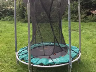 Trampolin