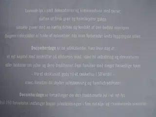 decemberdage, af birgitta wolfgang drejer og dorri