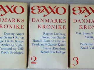 SAXO. Danmarks krønike.