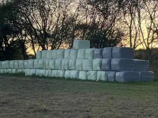 🌾💚 LÆKKERT WRAP-HØ TIL SALG – FRISKT, RENT OG KL