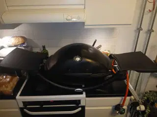 Weber Q1200 Gasgrill