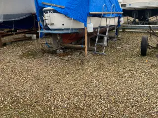 Motorbåd 
