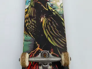 Skateboard Tony Hawk 