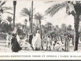 Sahara Ekspeditionen under et ophold i oasen i In Salah - Missioner - Ubrugt