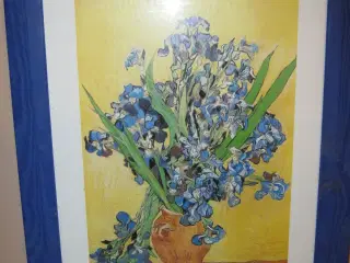Irissen af Vincent van Gogh