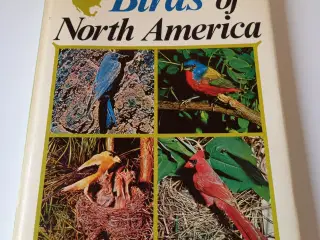 Birds of North America af Bertel Bruun