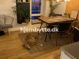 Hjembytte - Rådhusstrædet
