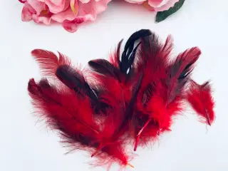 Fjer i røde og mørke nuancer 