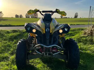 Can Am Renegade 800