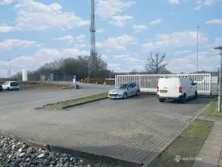 Lager med Kølerum til leje.