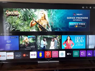 LG 4K 85