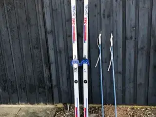 Langrend  ski