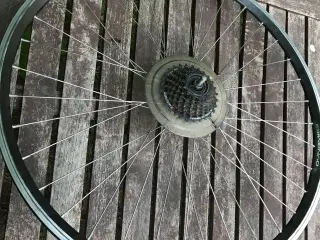 Cykel Baghjul 28"med 7 Gear Kasette fra 21 Shimano