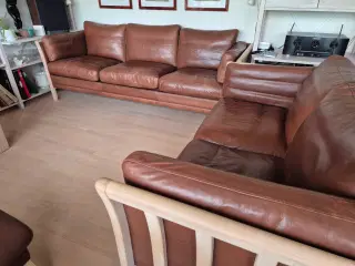 Lædersofae,r 3 + 2 prs.