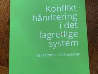 Konflikthåndtering i det fagretlige system