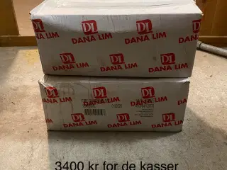 Dana lim 