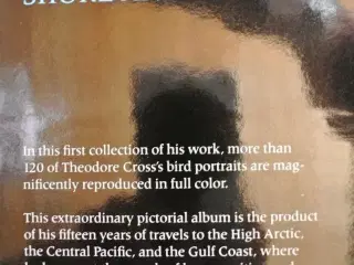 birds of the sea, shore and tundra , by theodore c