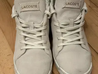 Lacoste sko