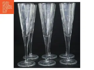 Krystalglas fra Bormioli Rocco (str. 23 x 7 cm)