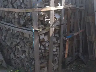 Bøge brænde 
