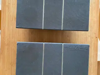 2 stk B&O RL 60.2 højtalere