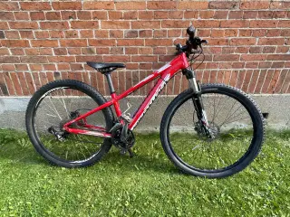 Specialized - MTB barn