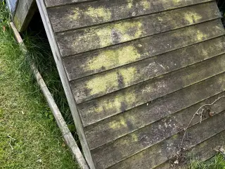 Lille hundehus til haven