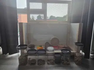 Hamsterbur med tilbehør 