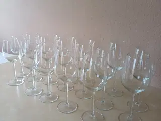 Rød- og hvidvinsglas - klare og fine
