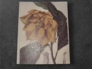 Papirark med gul blomst og struktureret baggrund G