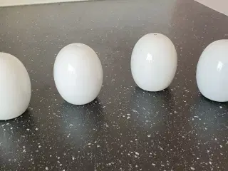 Salt og pebersæt