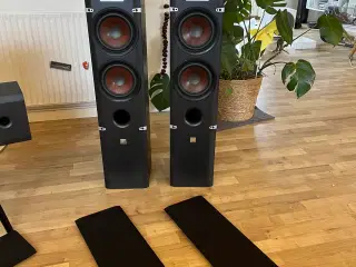 Dali Lektor 6