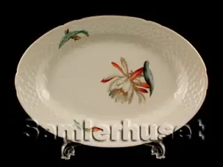 Kaktus Stegefad 25x18 cm.