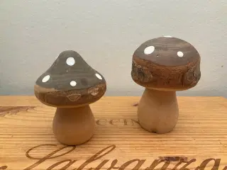 Svampe