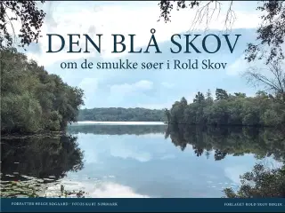 Den blå Skov
