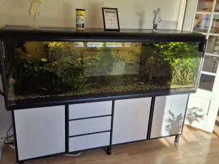 720 L akvarium